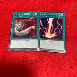 Harpie's Feather Duster