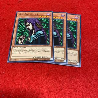 Witch of the Black Forest