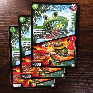 Ikkodas Kage｜Species Destiny