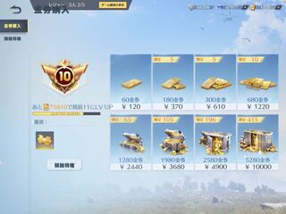 荒野行動精鋭10