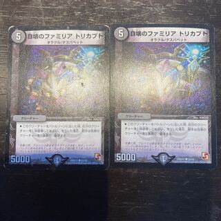 Self-Destructing Family Atri Kabuto