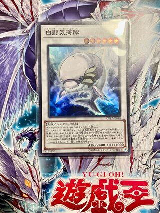 White Aura Dolphin Super Rare