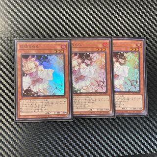 Ash Blossom & Joyous Spring