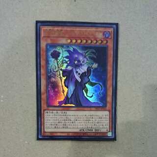 Sage of Time and Flower - Fleur de Sage Ultra Rare