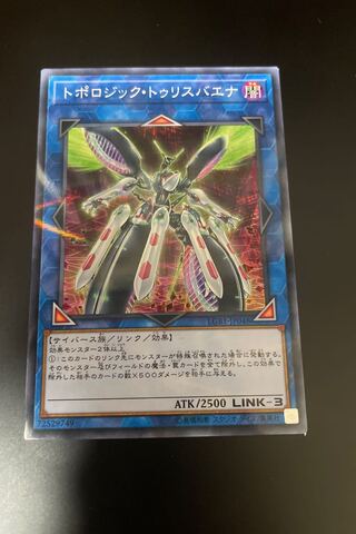 トポロジック・トゥリスバエナ パラレル ノーマル