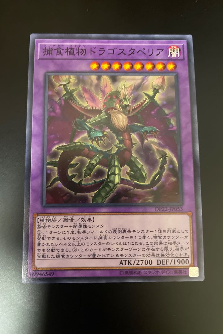 Predaplant Dragostapelia Normal