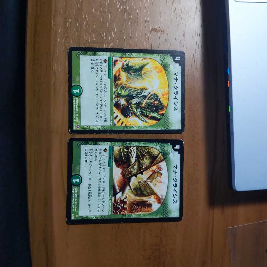 ねるそん様専用出品 1枚