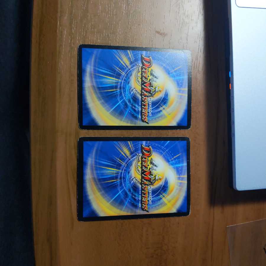 ねるそん様専用出品 1枚