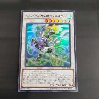 Wind Pegasus @ Ignister [Kinrindo].