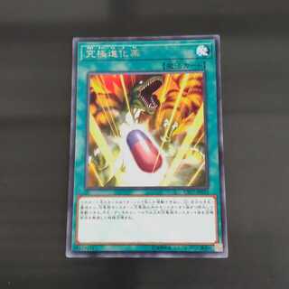 Double Evolution Pill Rare [Korindo].