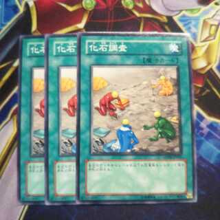 Fossil Dig Normal 3pcs