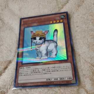 Rescue Cat Ultra Parallel Rare