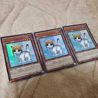 Rescue Cat Ultra Parallel Rare Set of 3