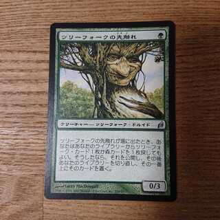 MTG Uncommon Treefolk Harbinger
