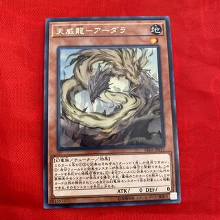 Tianwei Dragon - Ardara