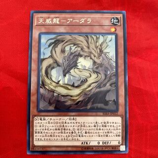 Tianwei Dragon - Ardara