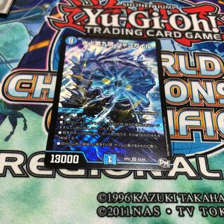 水上第九院シャコガイル 1枚