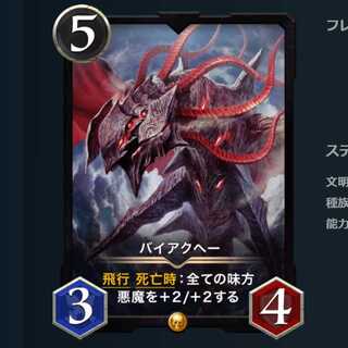 バイアクヘー 2枚セット