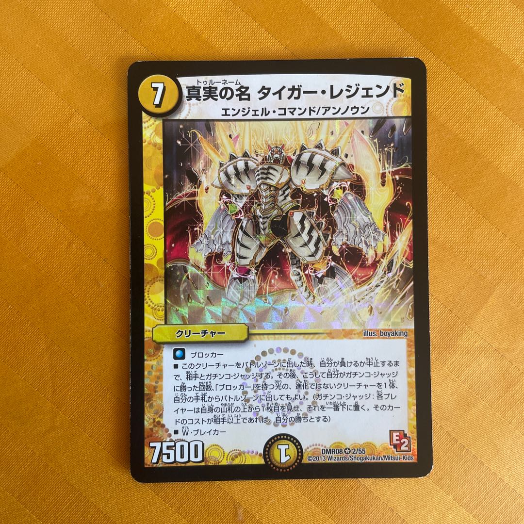 The True Name Tiger Legend VR