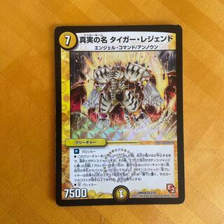 The True Name Tiger Legend VR