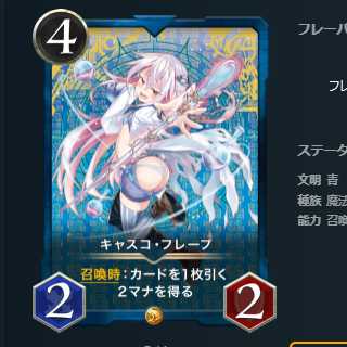 2枚セット スピなし キャスコ・フレープ