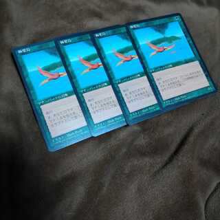 4 versions Birds of Paradise EX 4 copies 63
