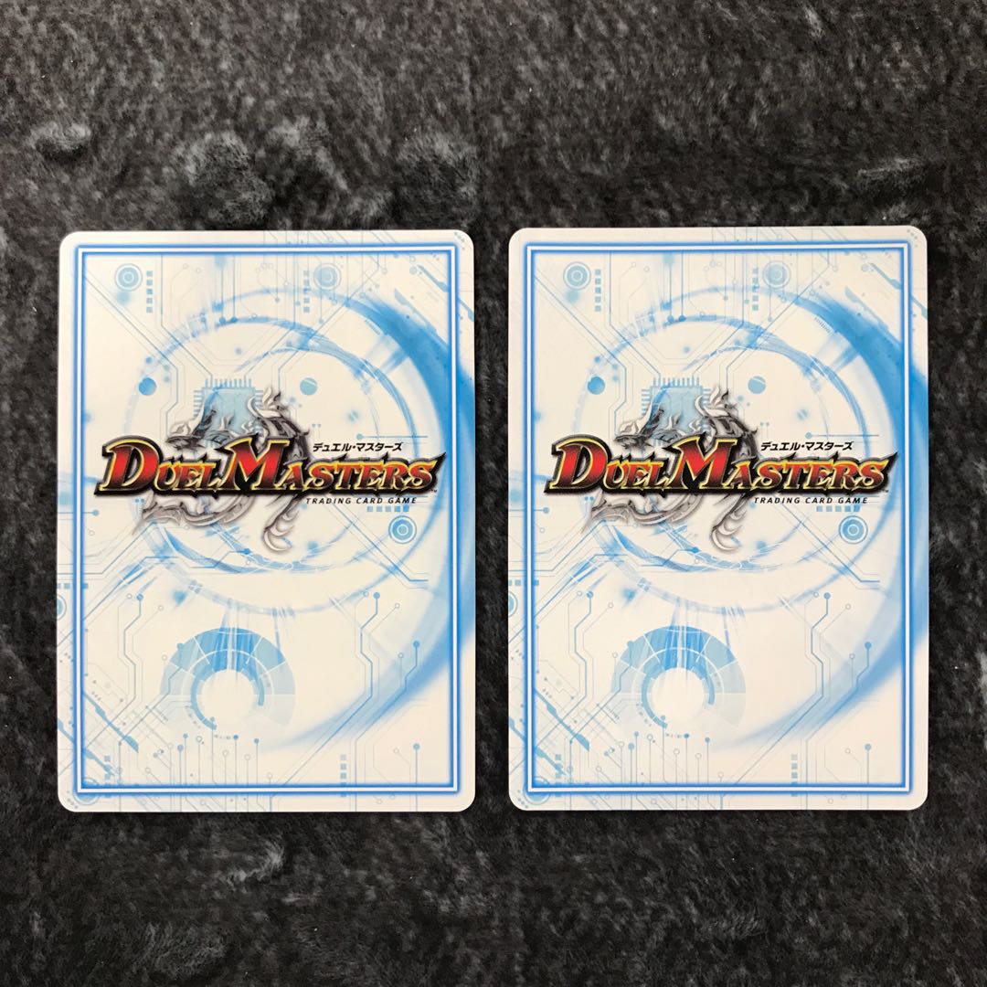 "Demon's Roar" brand 2-piece set