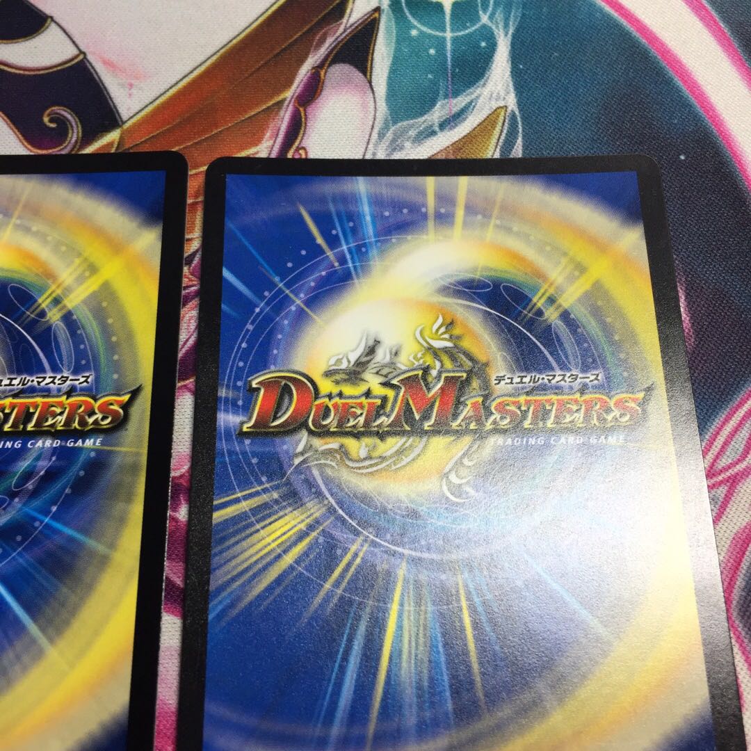 "Knight of the Absolute Shield."