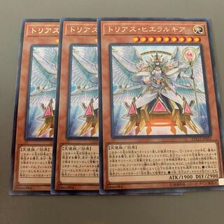 トリアス・ヒエラルキア　専用