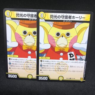 Holly, Guardian of Flash R