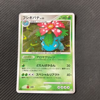 Venusaur LV.55