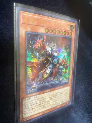 Cellions "King" Regular UR