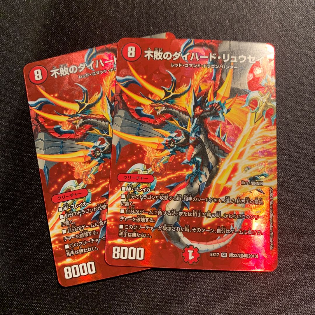 The Undefeated Diehard Ryusei 2-Piece SET