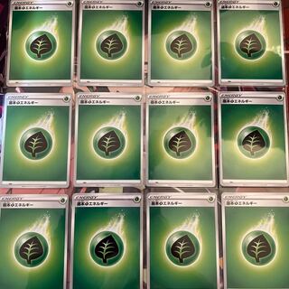 Basic GrassEnergy 12-piece set