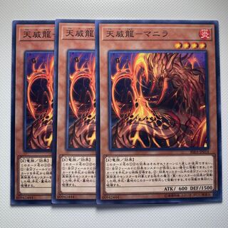 4770 天威龍-マニラ ノーマル JP014