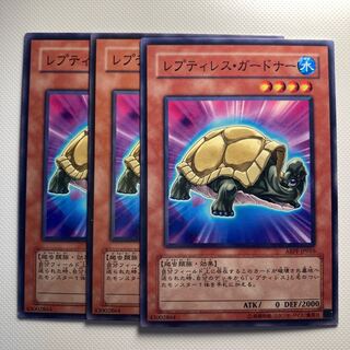 4781 レプティレス・ガードナー ノーマル JP016