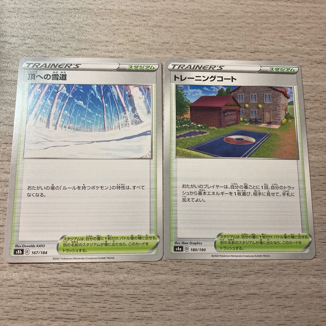 Training Court, Snow Road to the Top