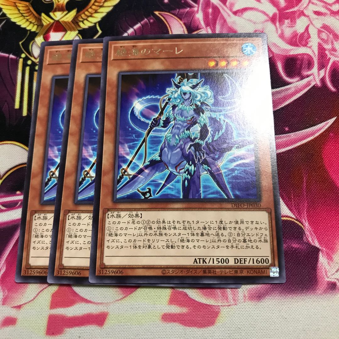 Exquisite Umi's Mare Rare