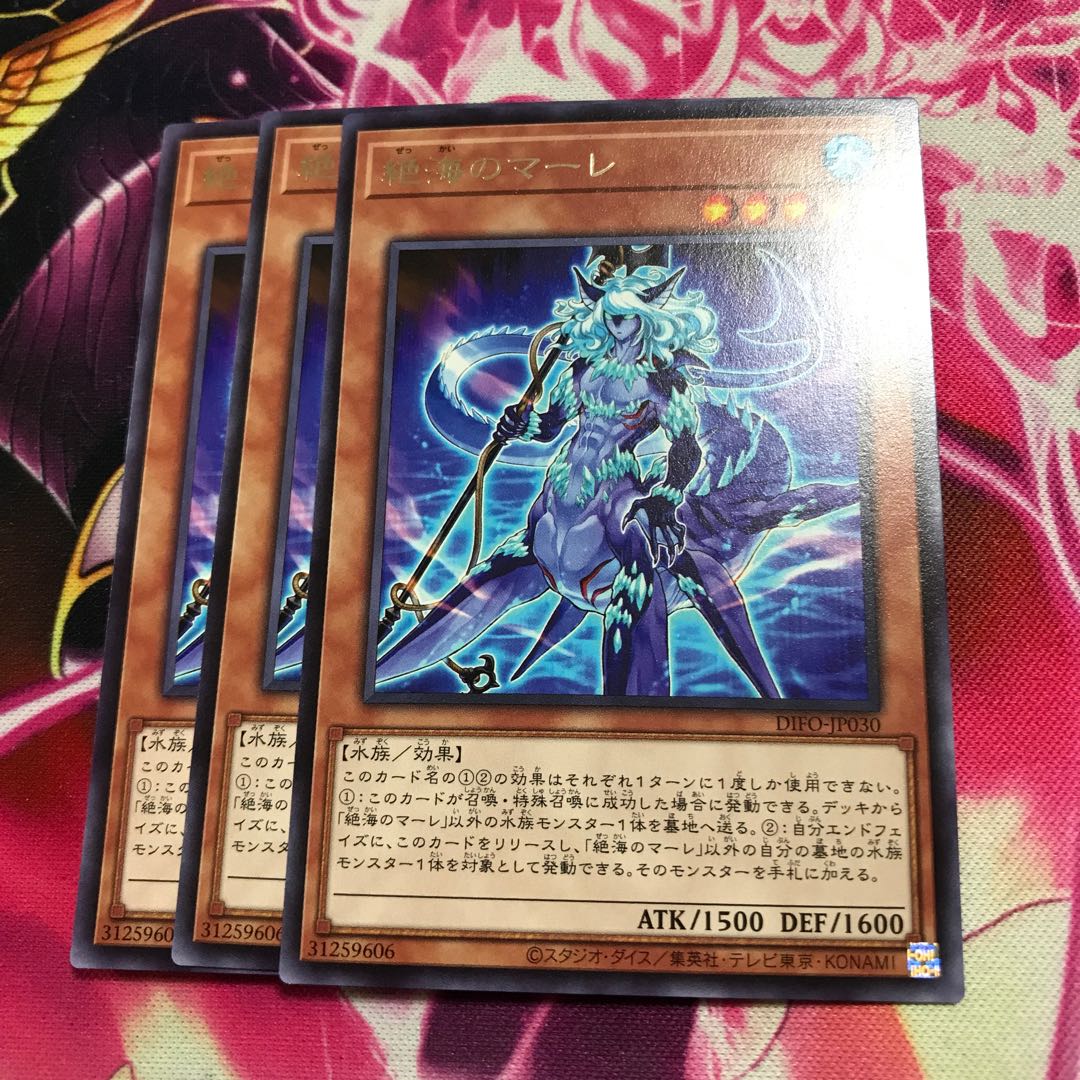 Exquisite Umi's Mare Rare