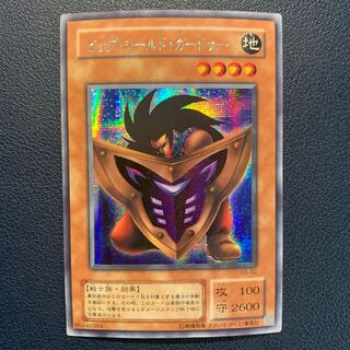 Big Shield Gardna Secret 1