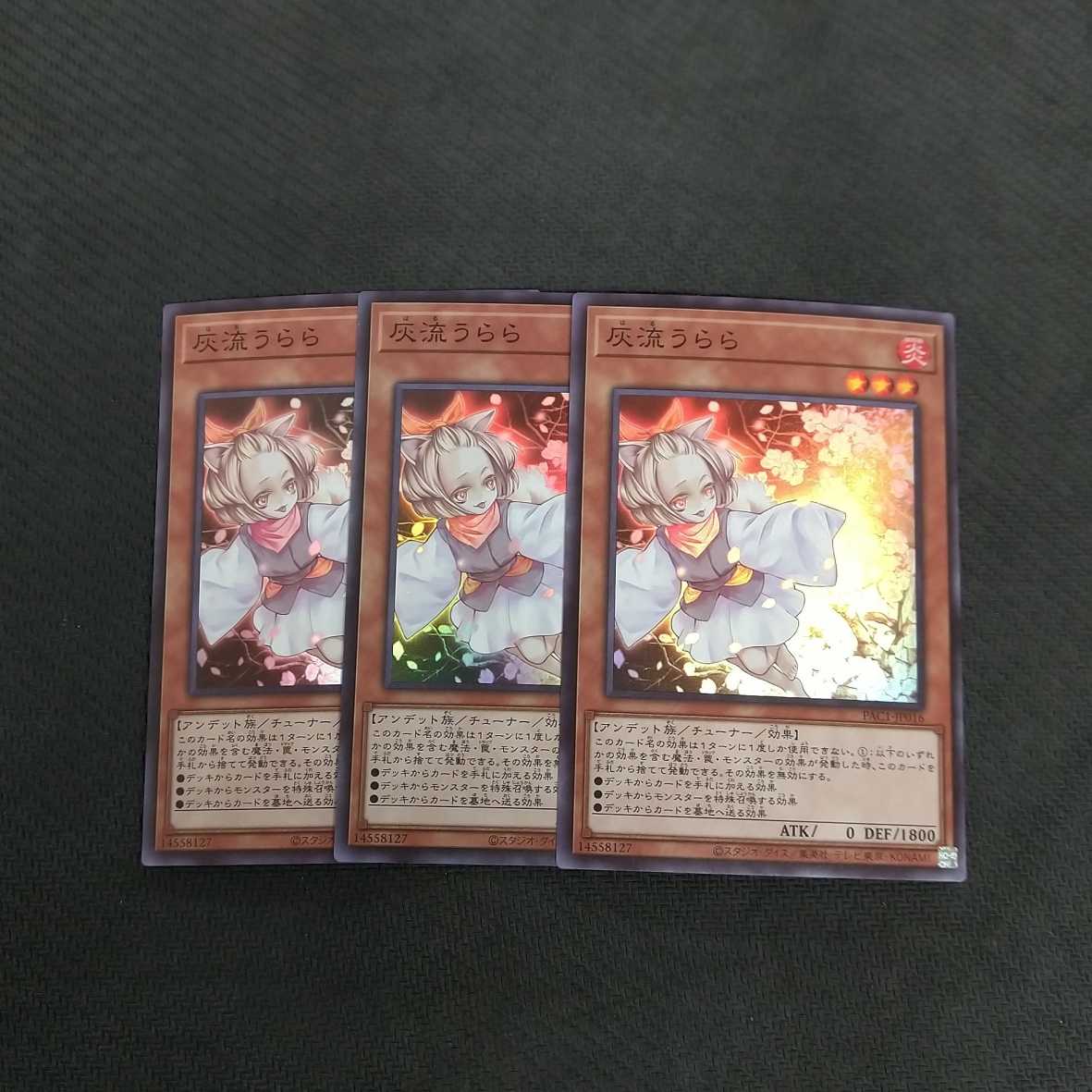 Ash Blossom & Joyous Spring Super Rare 3pcs Ranyu [00380-37].