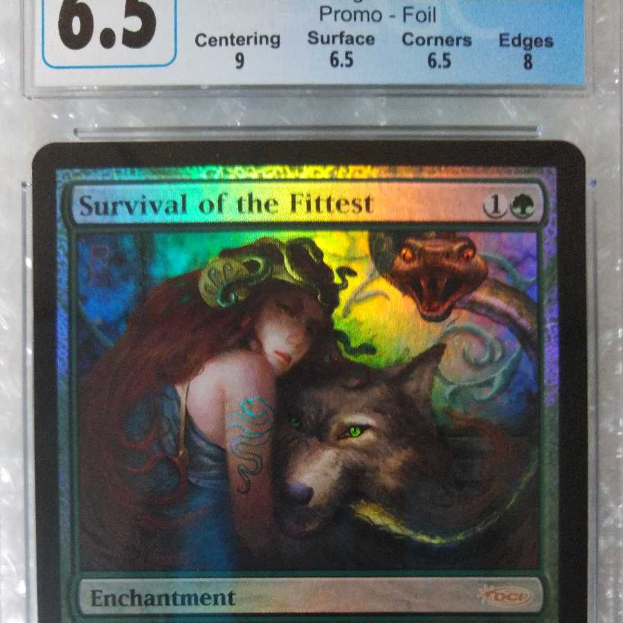 Survival of the Fittest