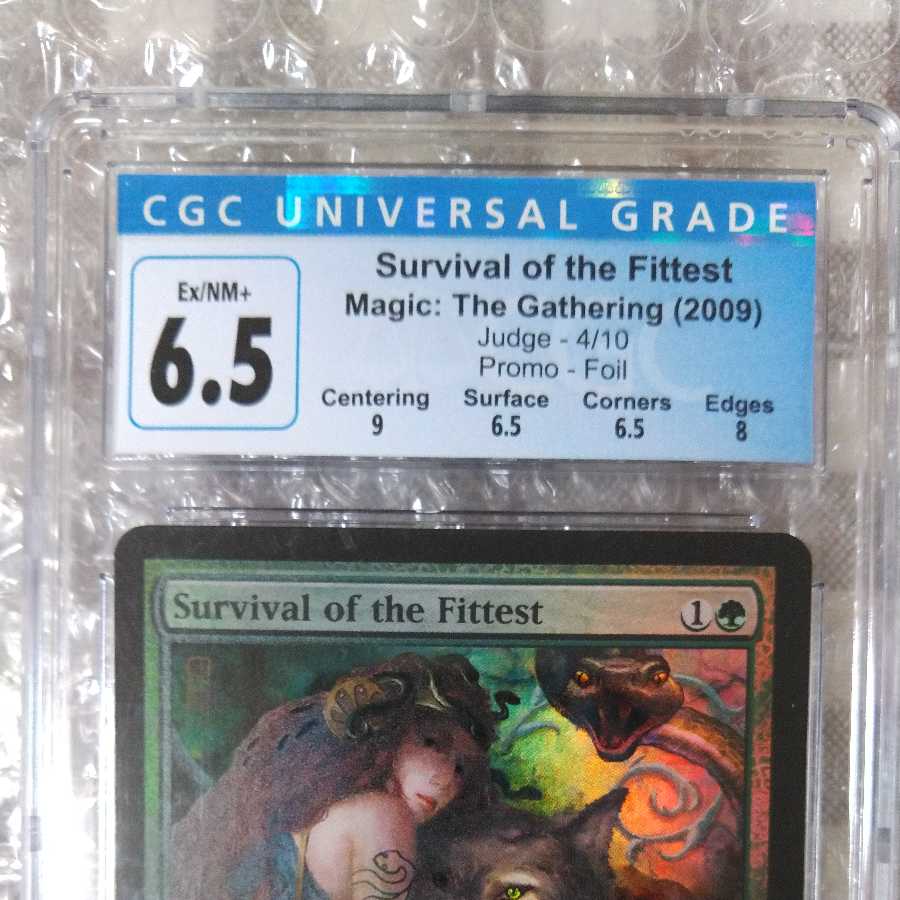 Survival of the Fittest