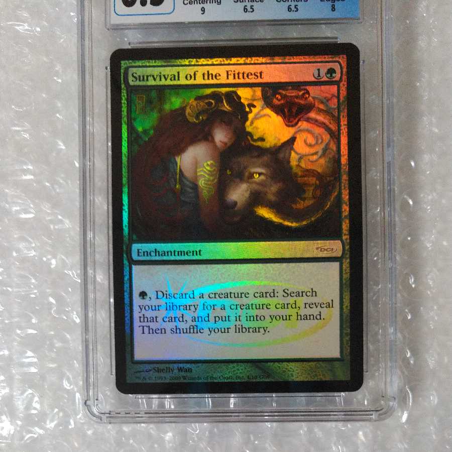 Survival of the Fittest