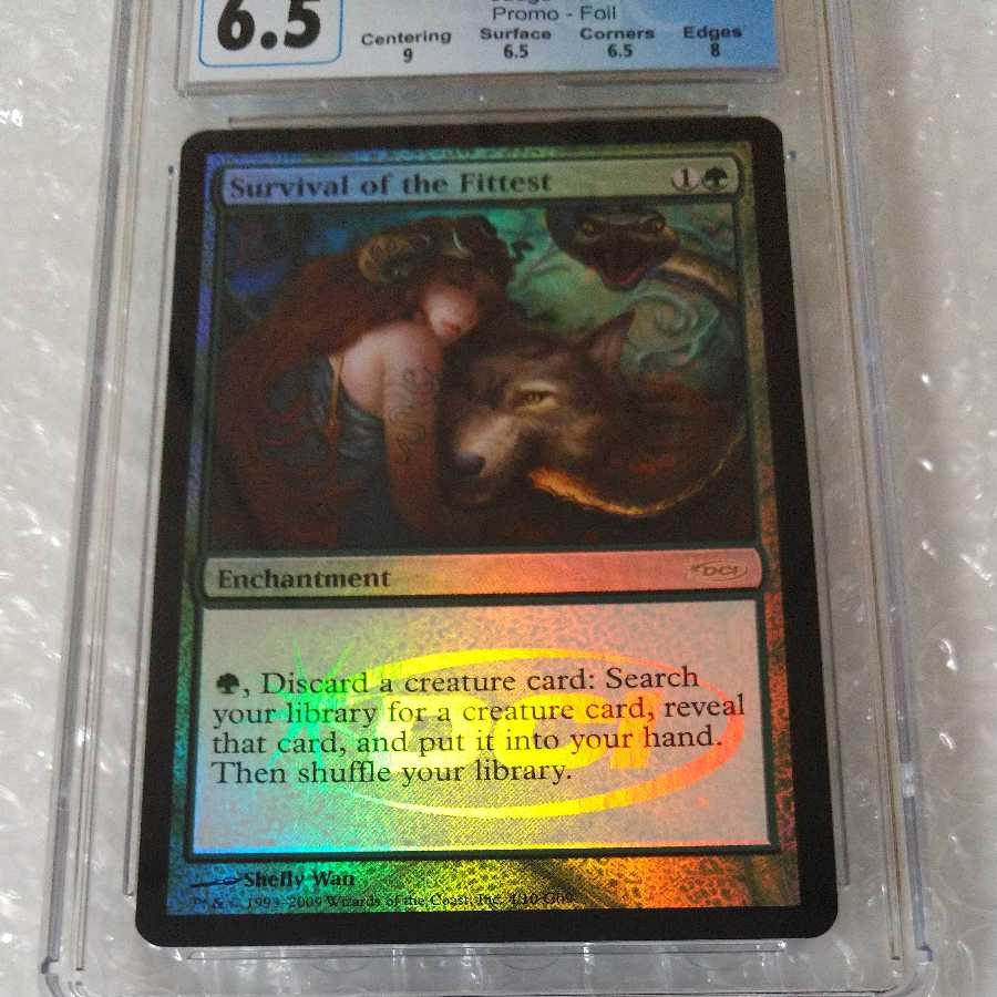 Survival of the Fittest