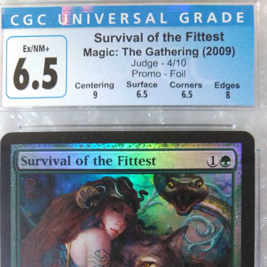 Survival of the Fittest