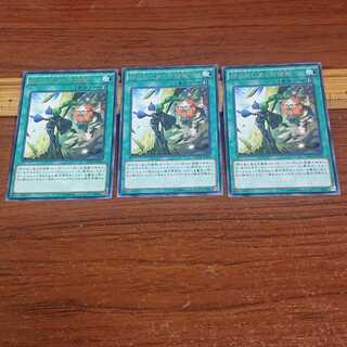 El Shaddoll Fusion Rare 3 pieces