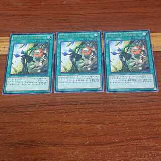 El Shaddoll Fusion Rare 3 pieces