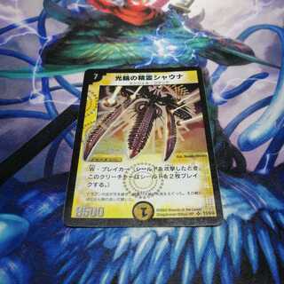 光輪の精霊シャウナ