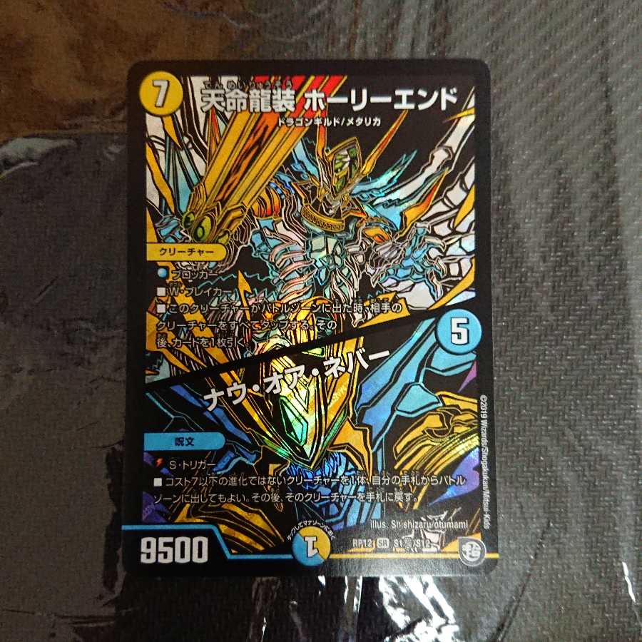 天命龍装ホーリーエンド/ナウ・オア・ネバー